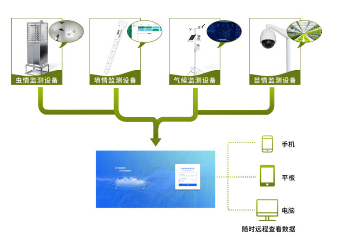 農(nóng)業(yè)四情監(jiān)測管理系統(tǒng)